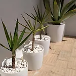 Shades Of Blue With Ocean View - Fast Wifi * Porches (Algarve)